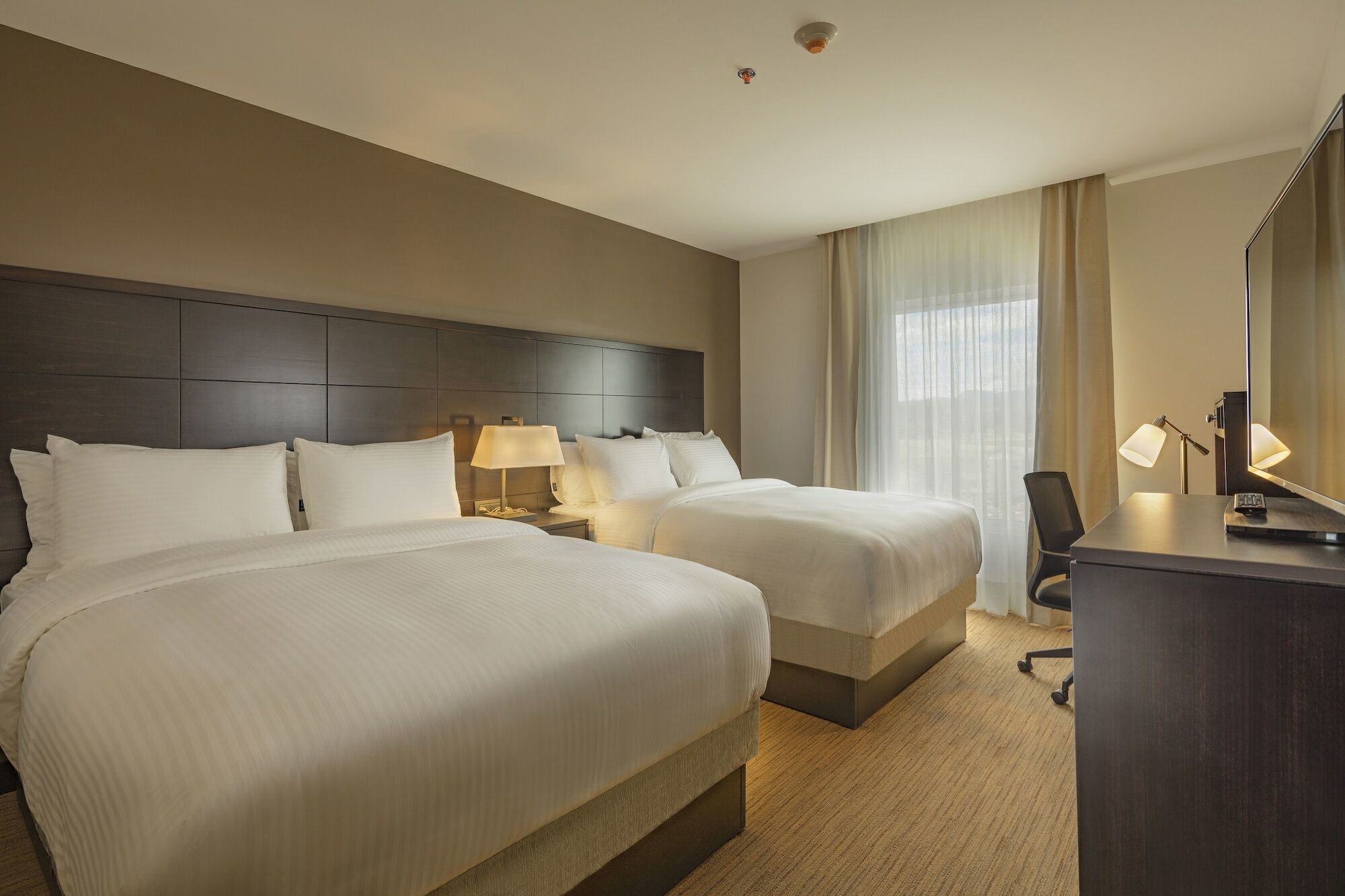 Staybridge Suites Silao By Ihg Zewnętrze zdjęcie